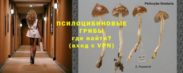 дживик Алзамай