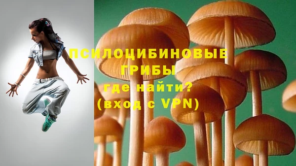 дживик Алзамай
